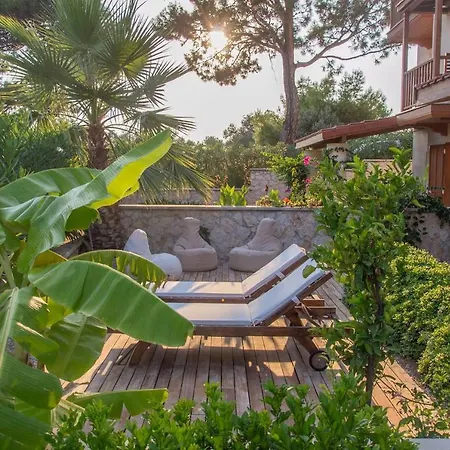 Azure, Lavanta, Kalkan