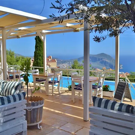 Azure, Lavanta, Kalkan Kas