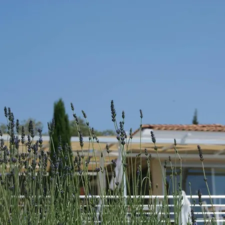 Villa Azure, Lavanta, Kalkan